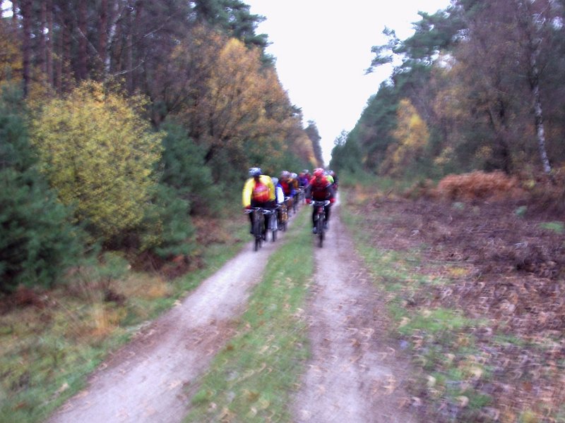 PCTF NeustaedterHolz 052